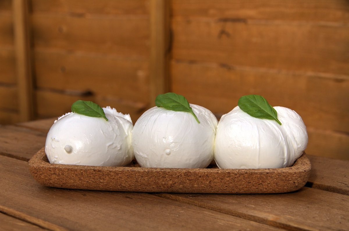 How To Store Fresh Mozzarella After Opening