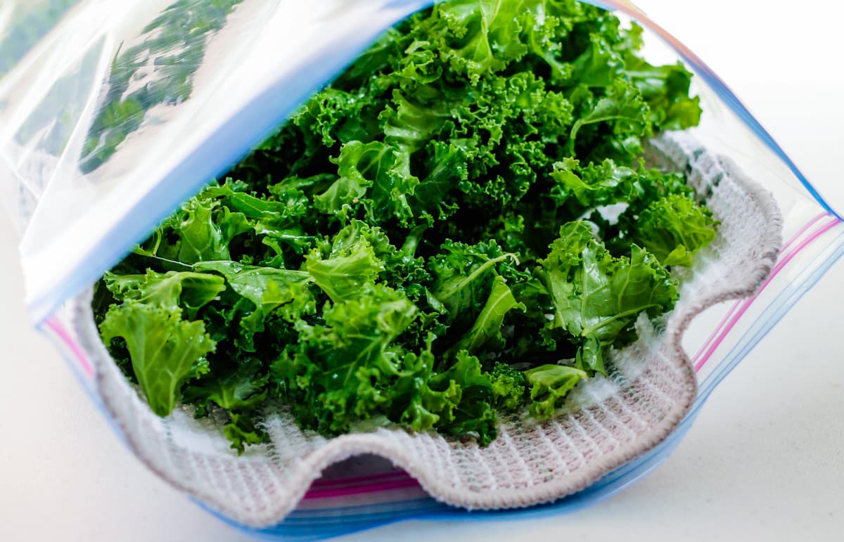 How To Store Fresh Picked Kale
