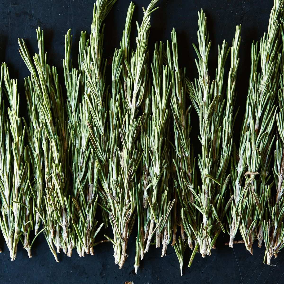 How To Store Fresh Rosemary Long Term