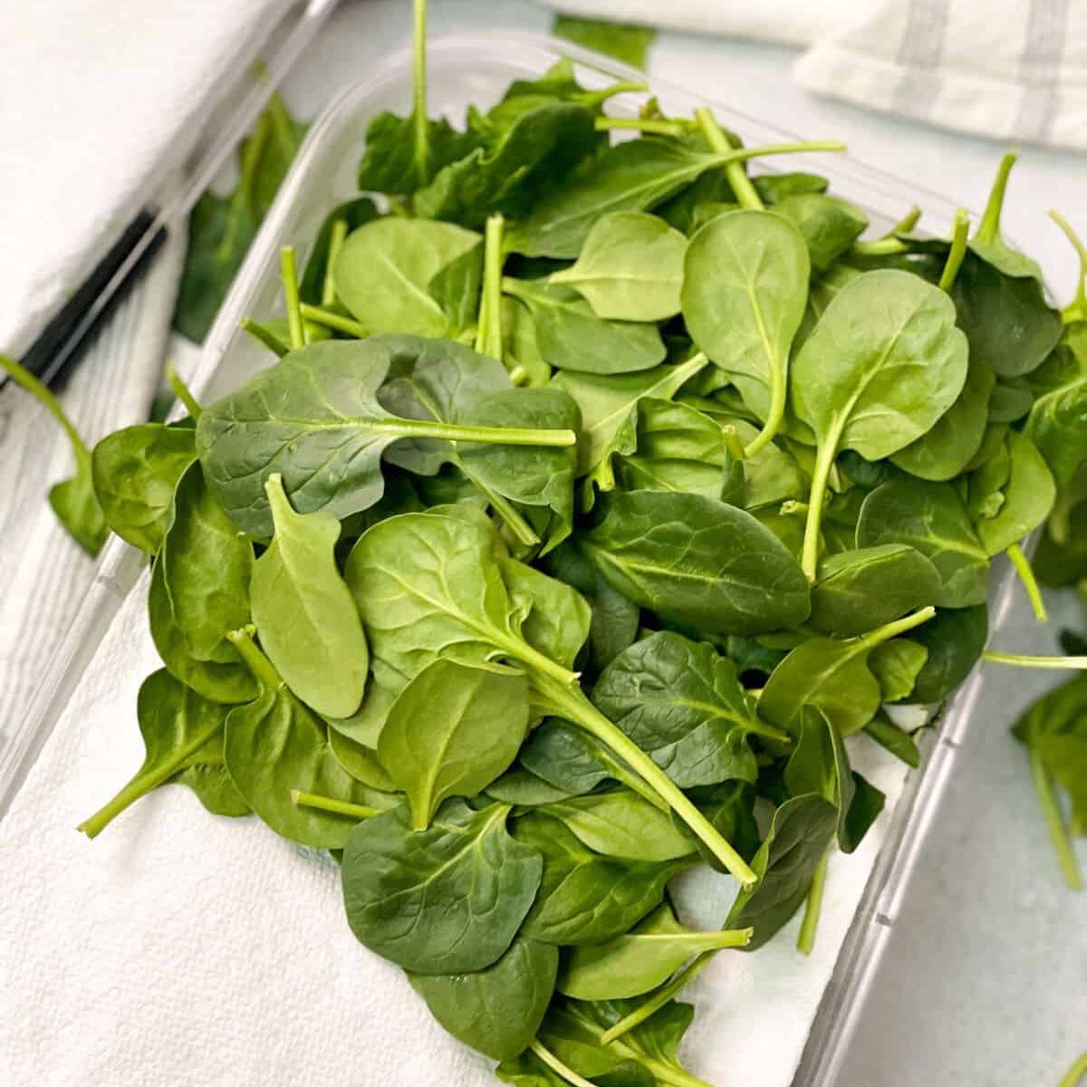 How To Store Fresh Spinach In Fridge