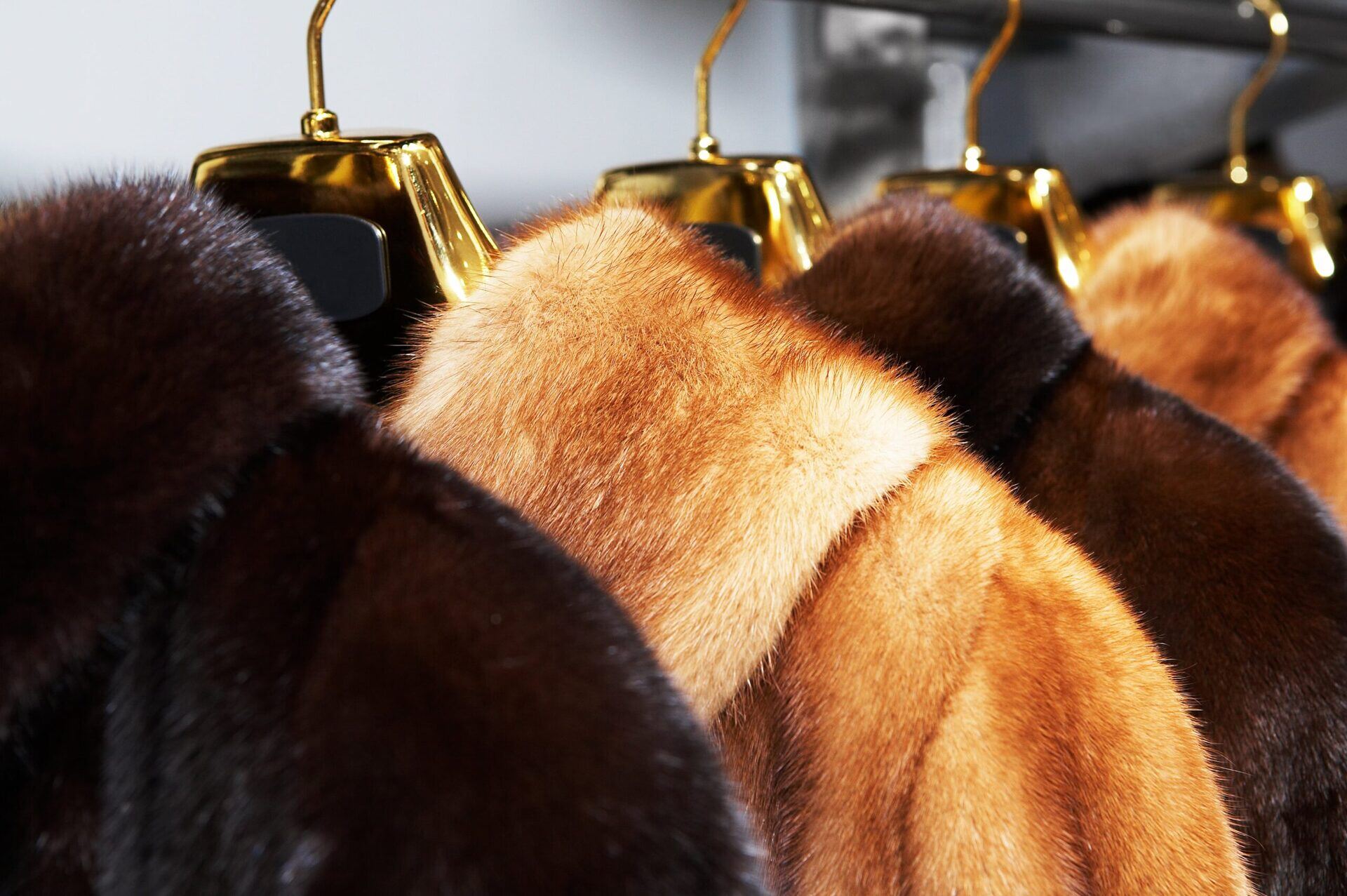 How To Store Fur Coats In Summer