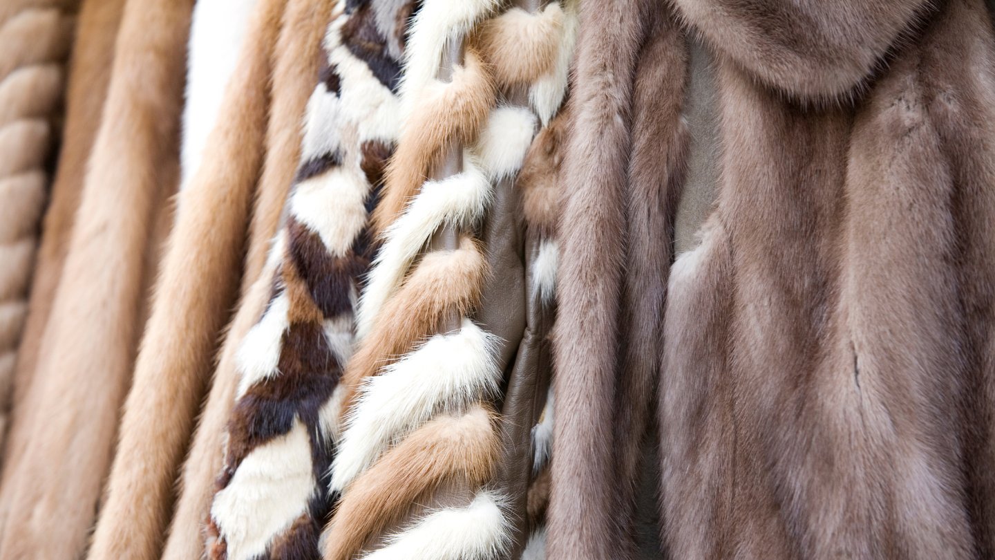 How To Store Furs At Home