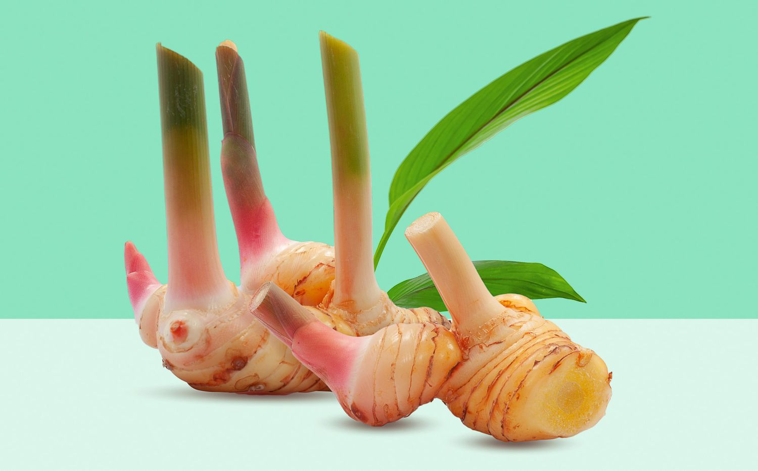 How To Store Galangal