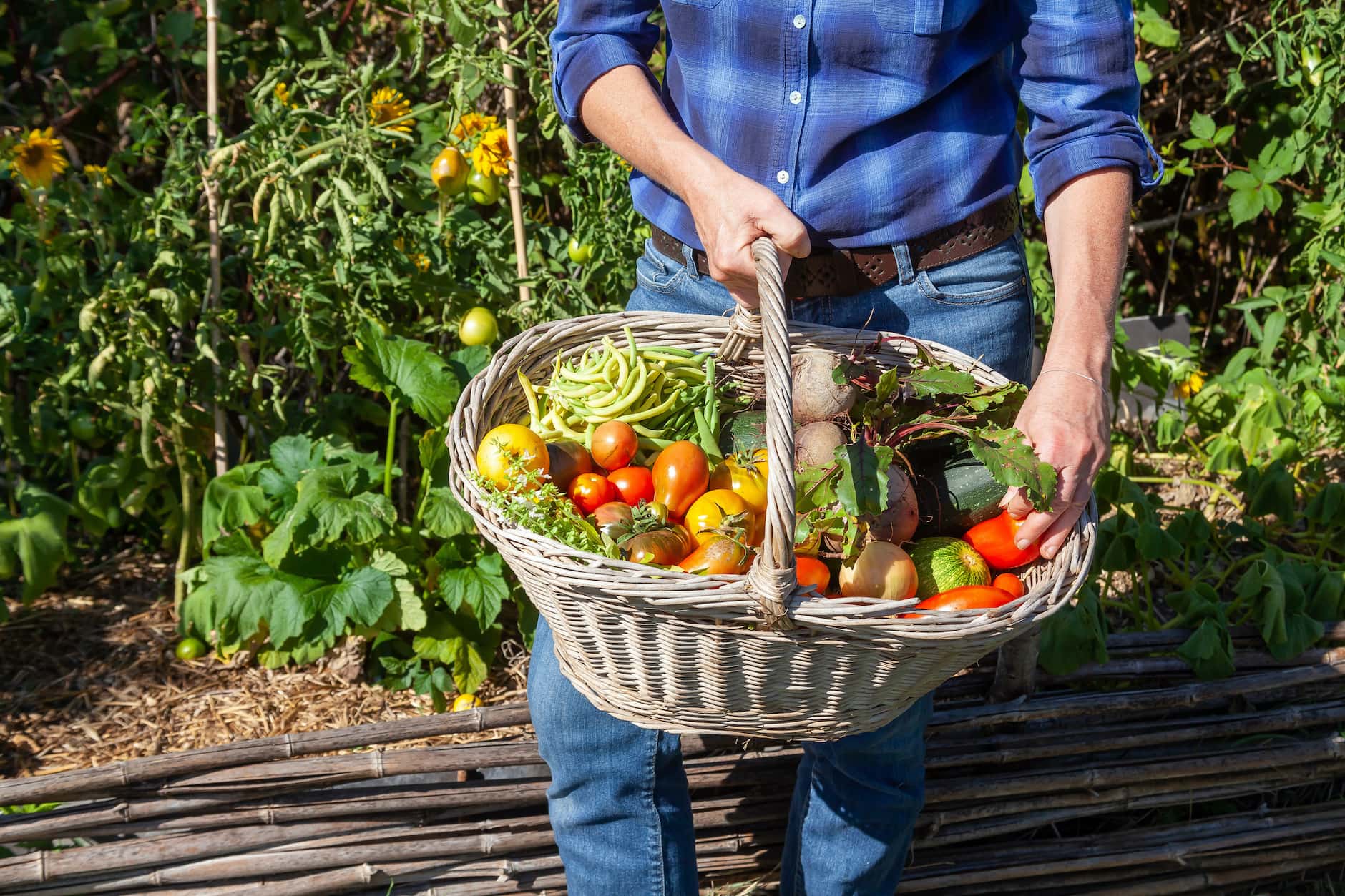 How To Store Garden Vegetables