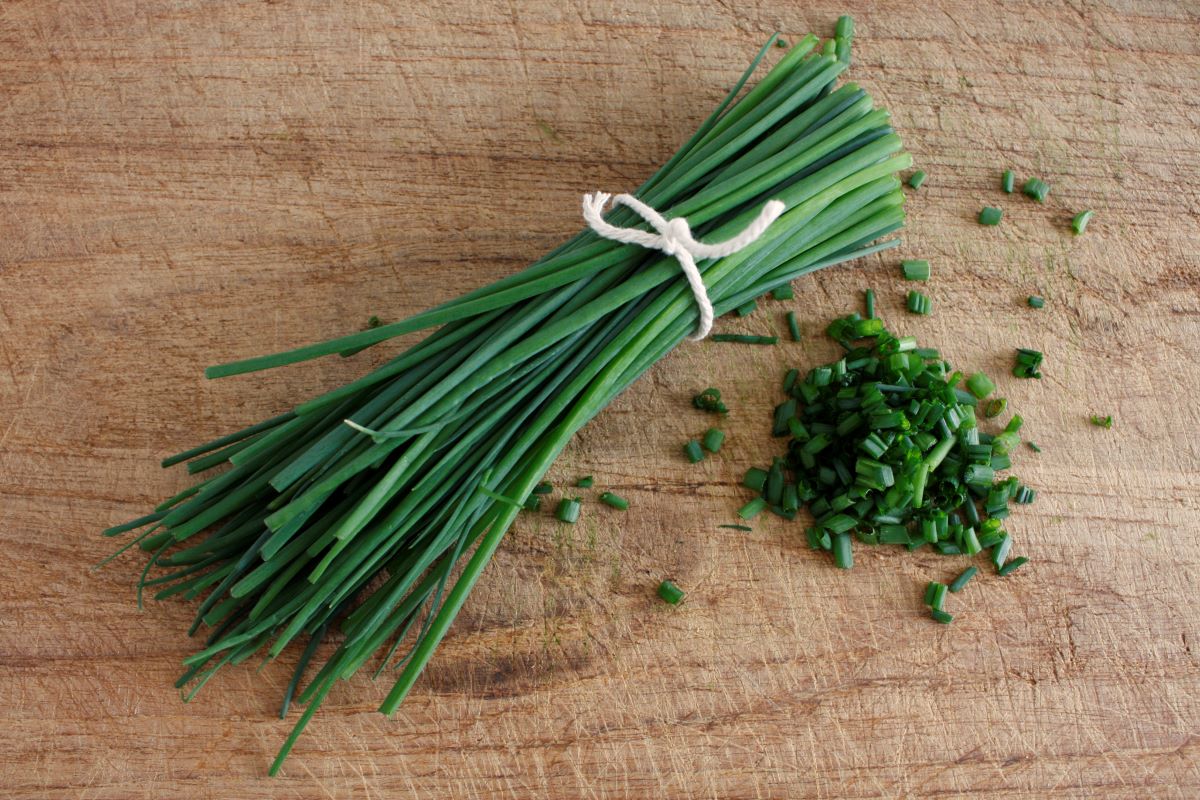 How To Store Garlic Chives