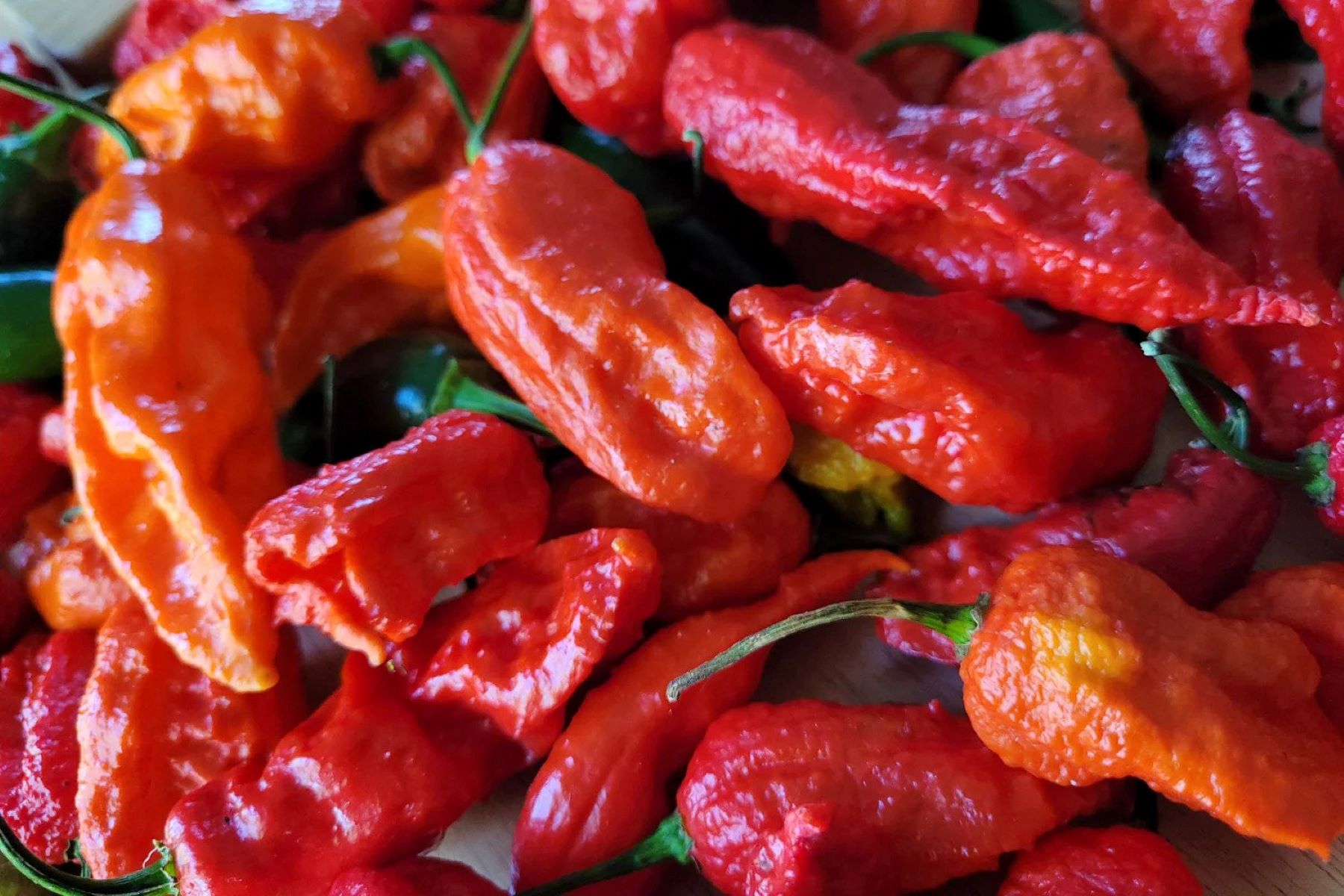 How To Store Ghost Peppers