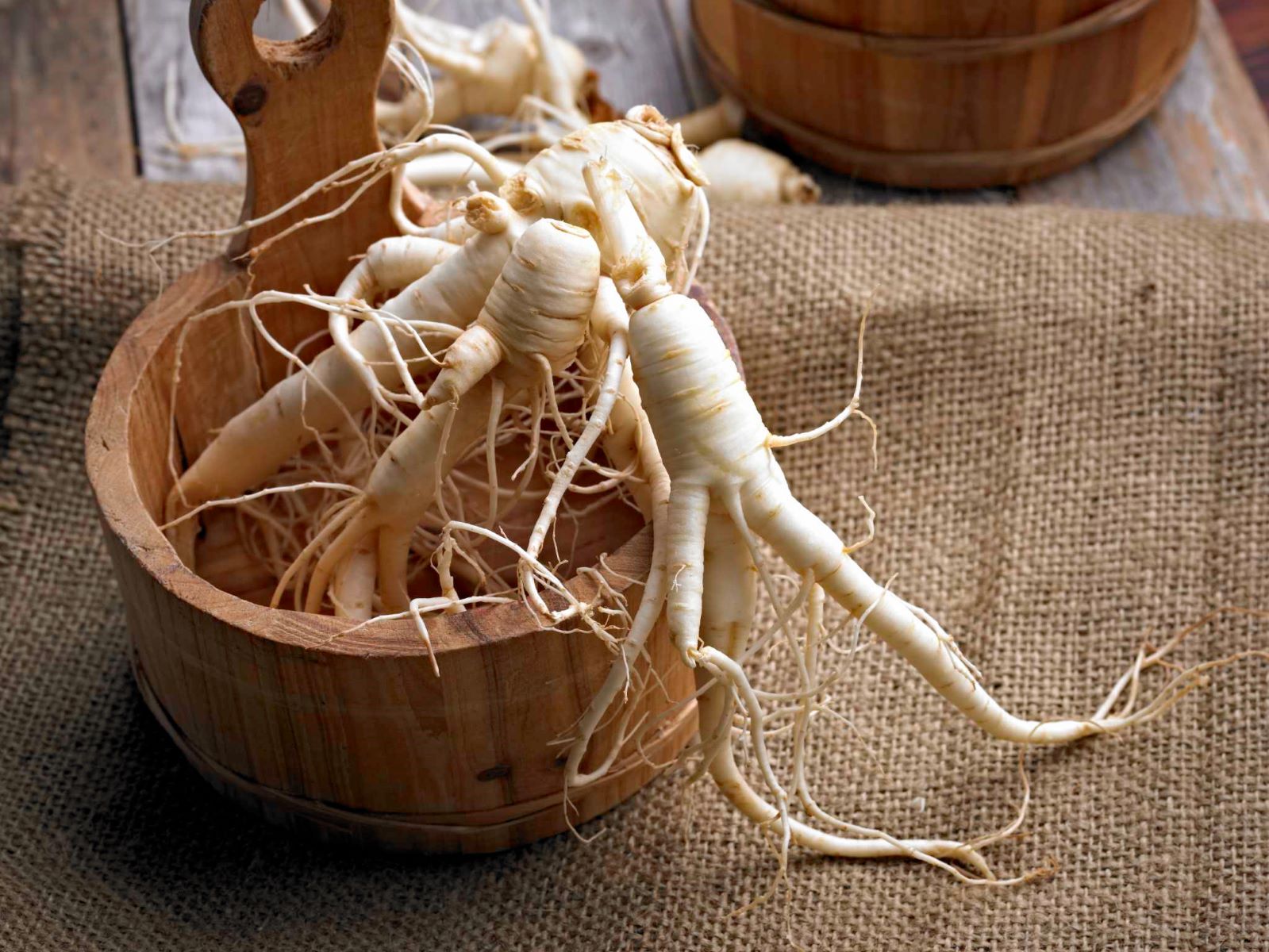How To Store Ginseng Root