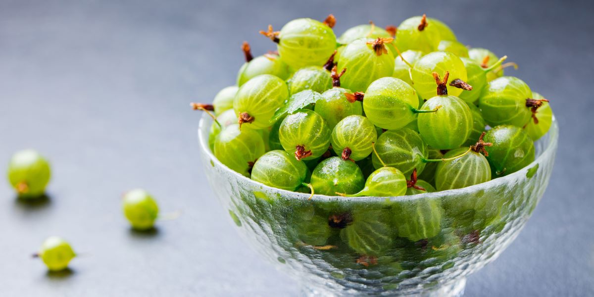 How To Store Gooseberries