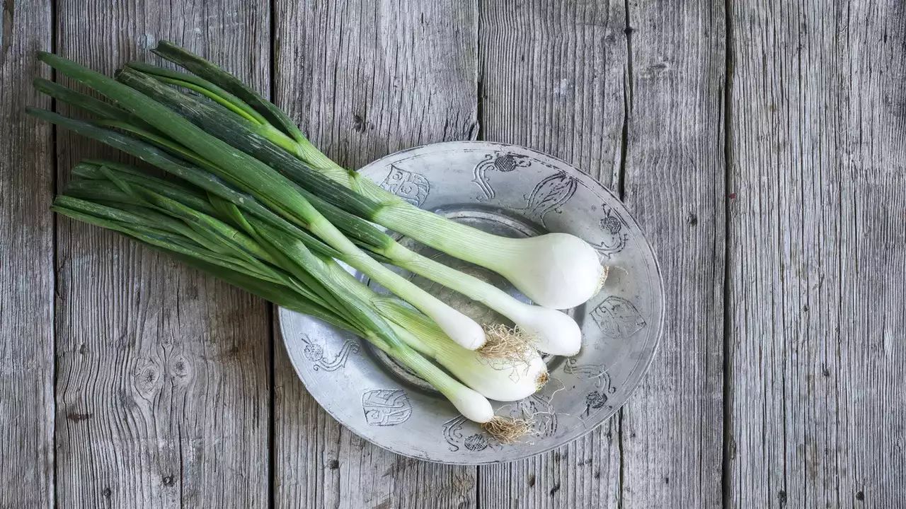 How To Store Green Garlic