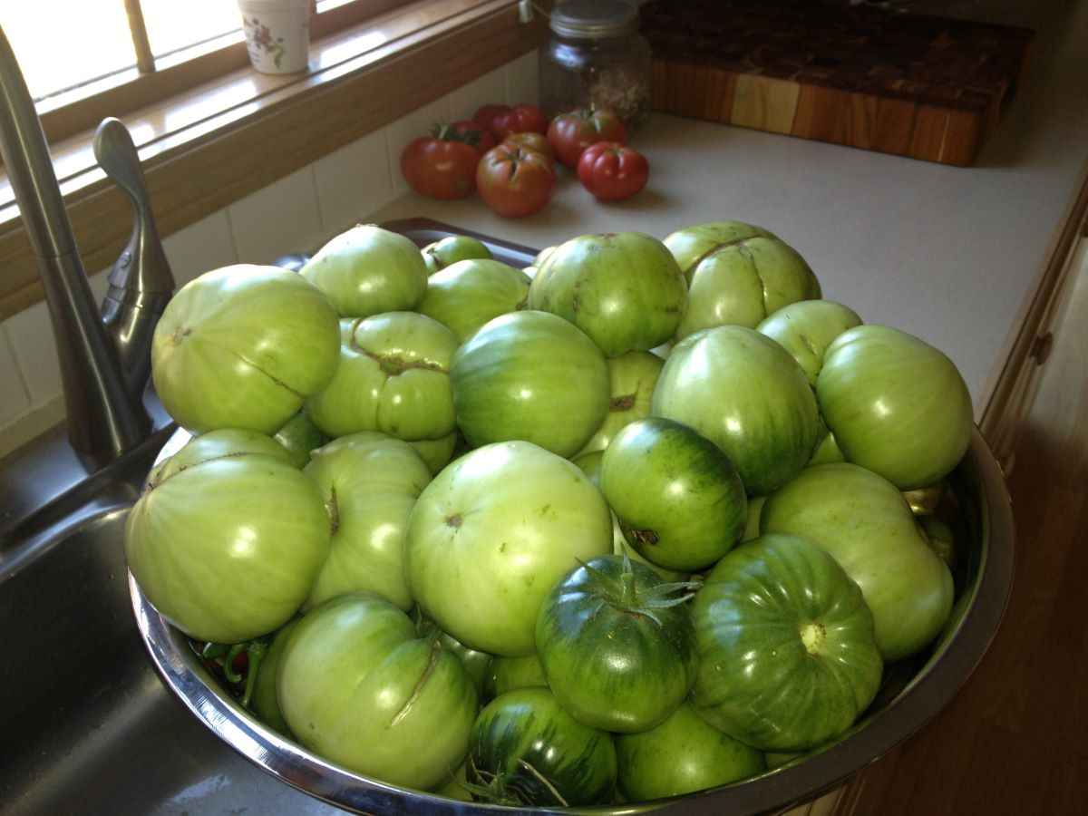 How To Store Green Tomatoes