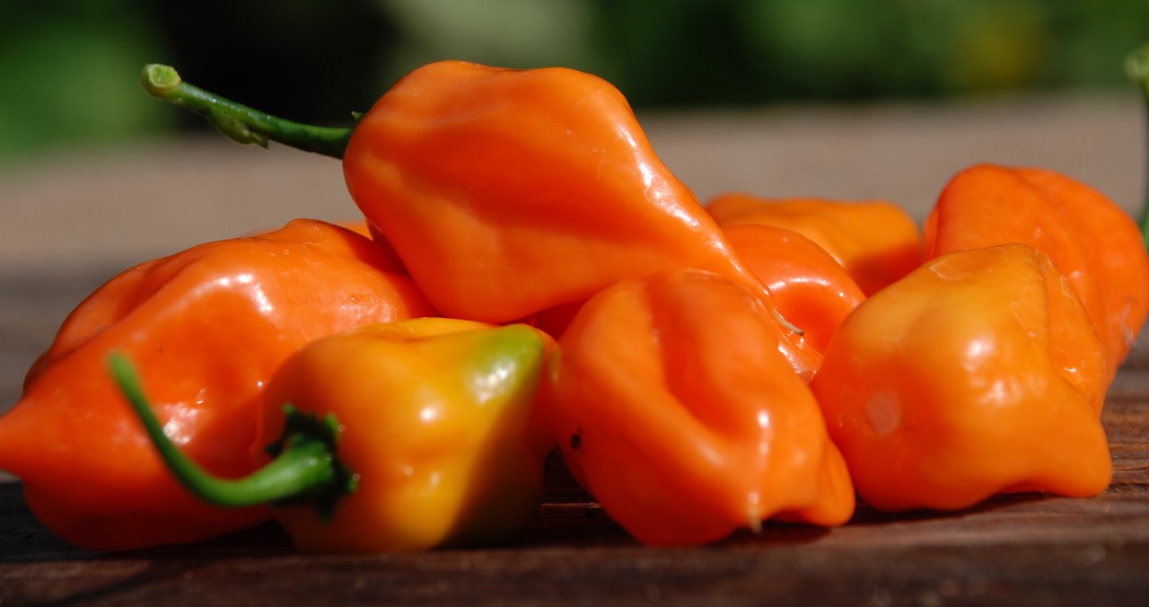 How To Store Habanero Peppers