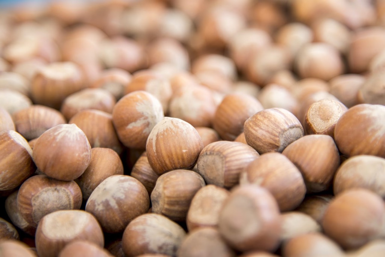 How To Store Hazelnuts