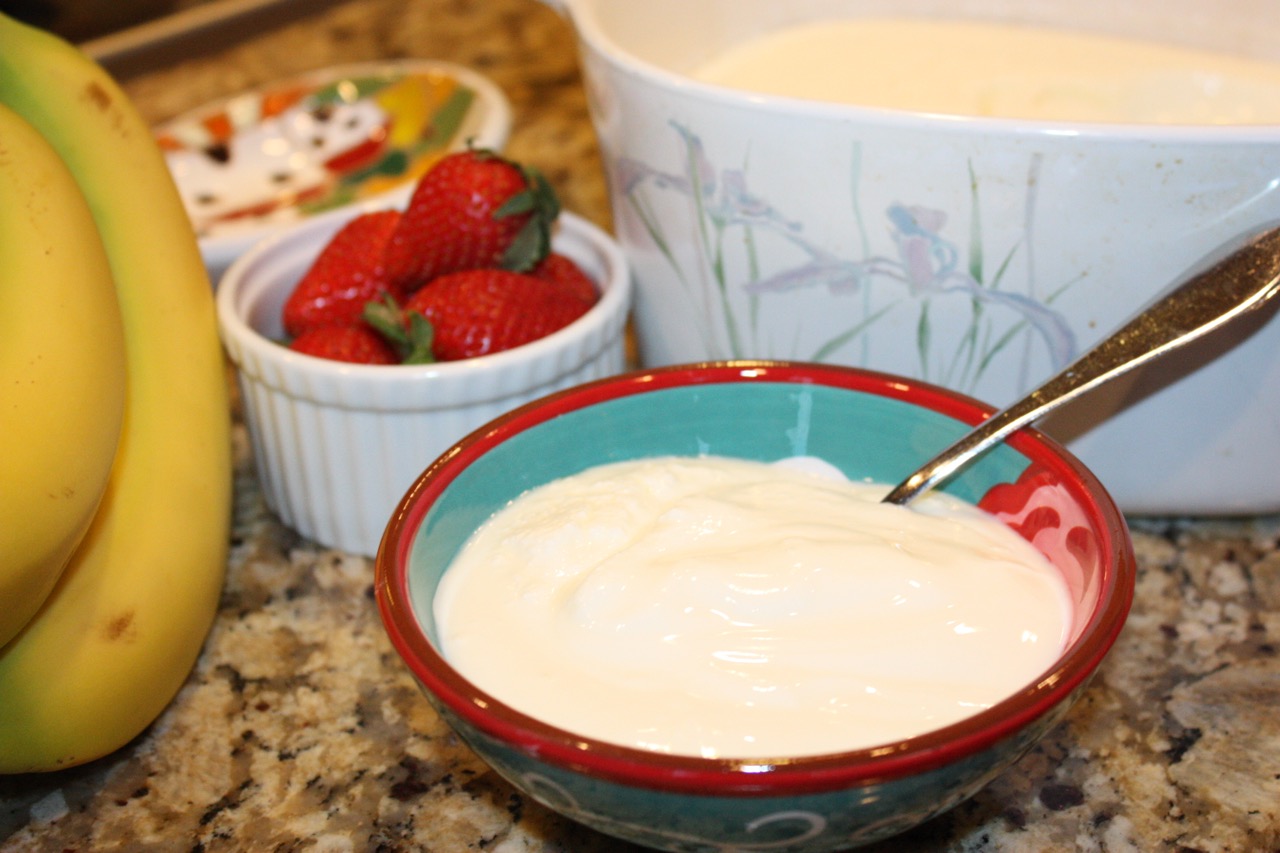 How To Store Homemade Yogurt