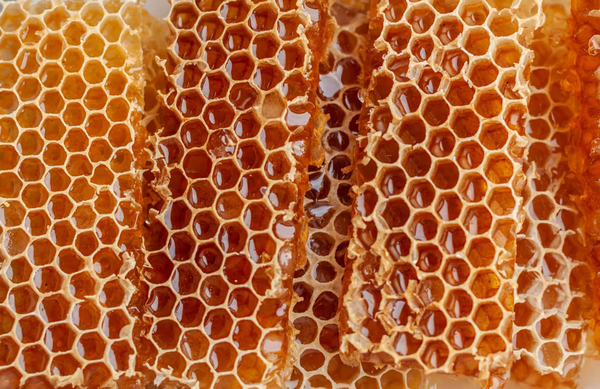 How To Store Honey Frames Until Extraction