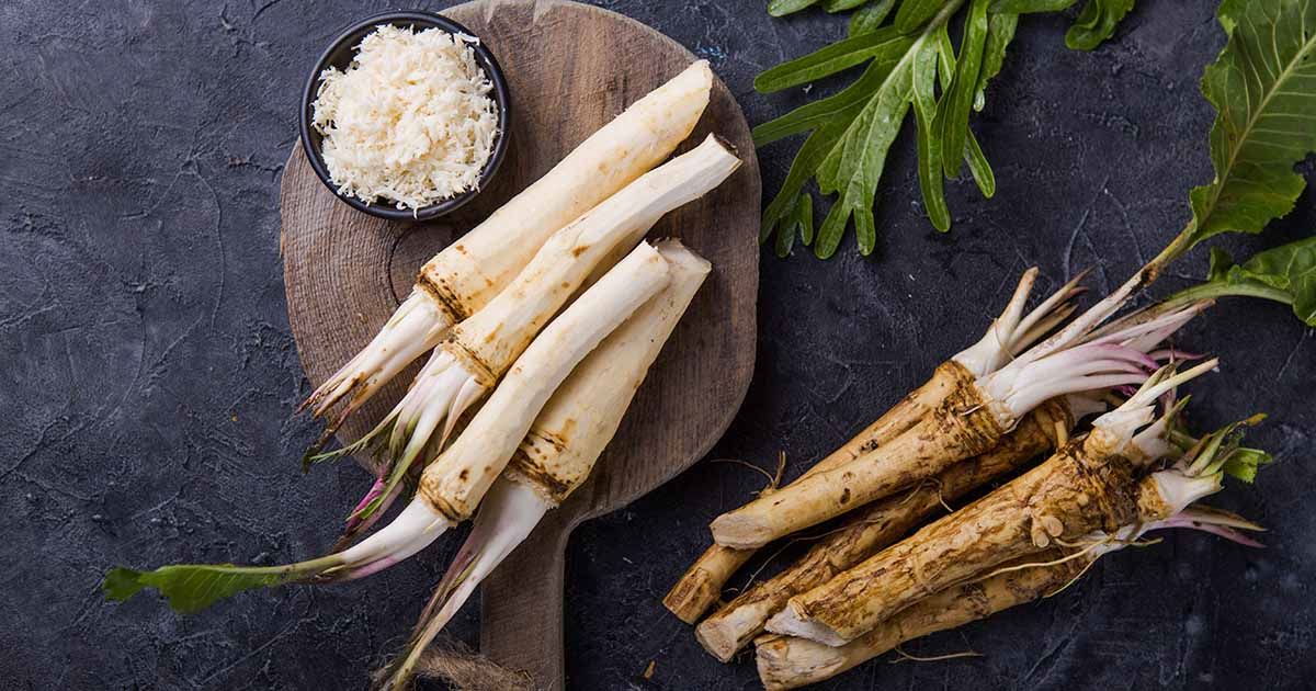 How To Store Horseradish Root
