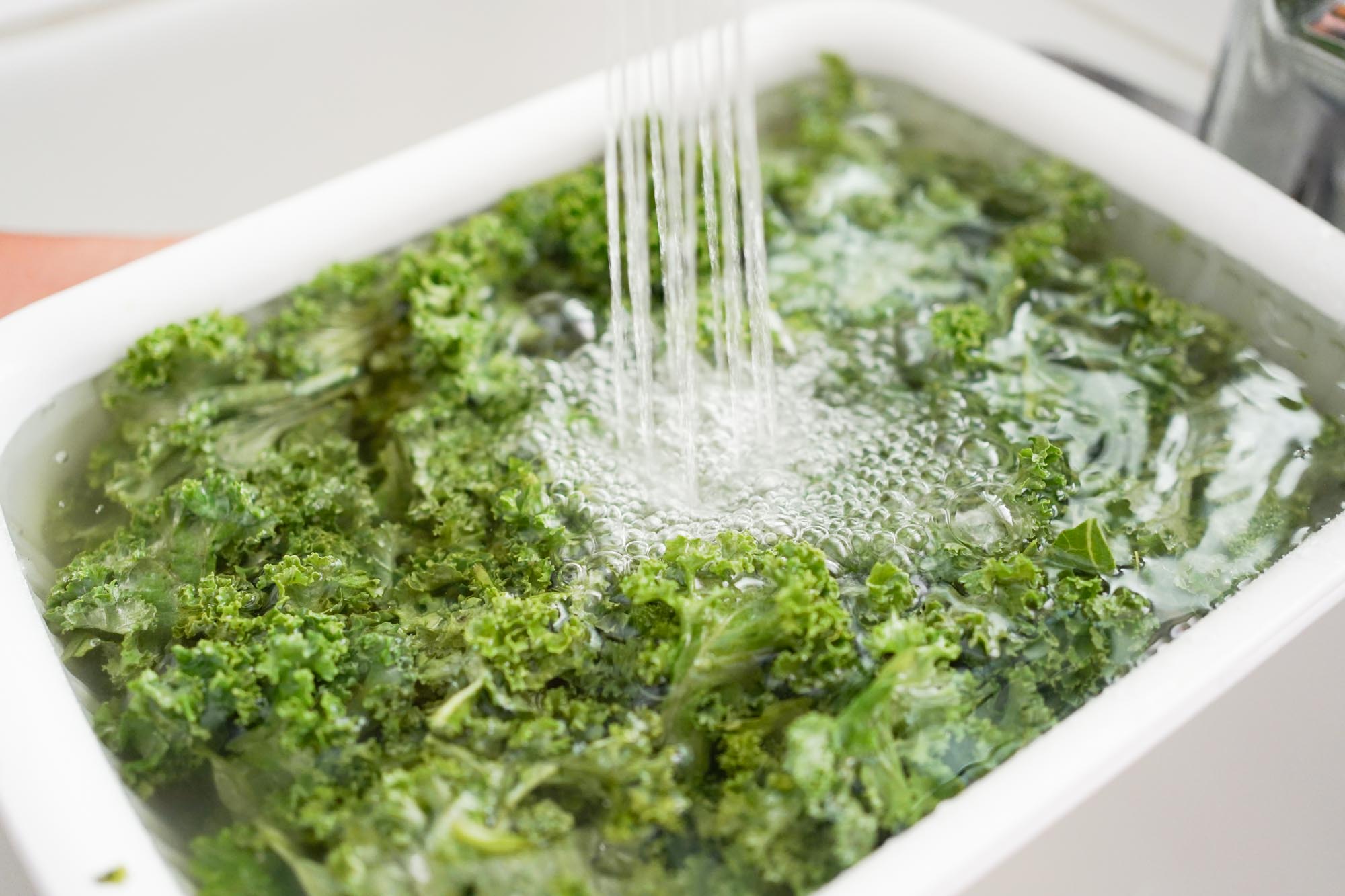 How To Store Kale In Water