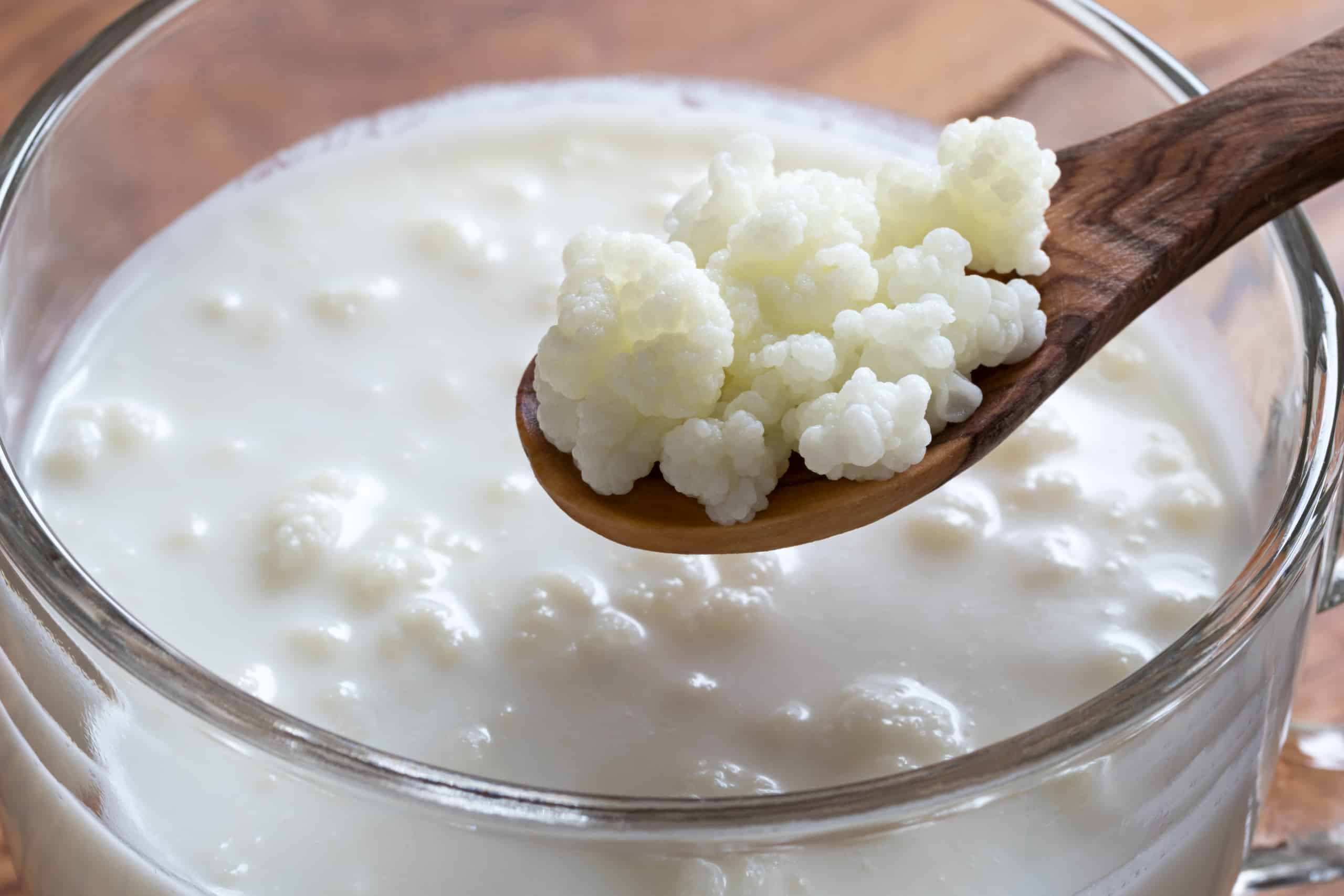 How To Store Kefir Grains