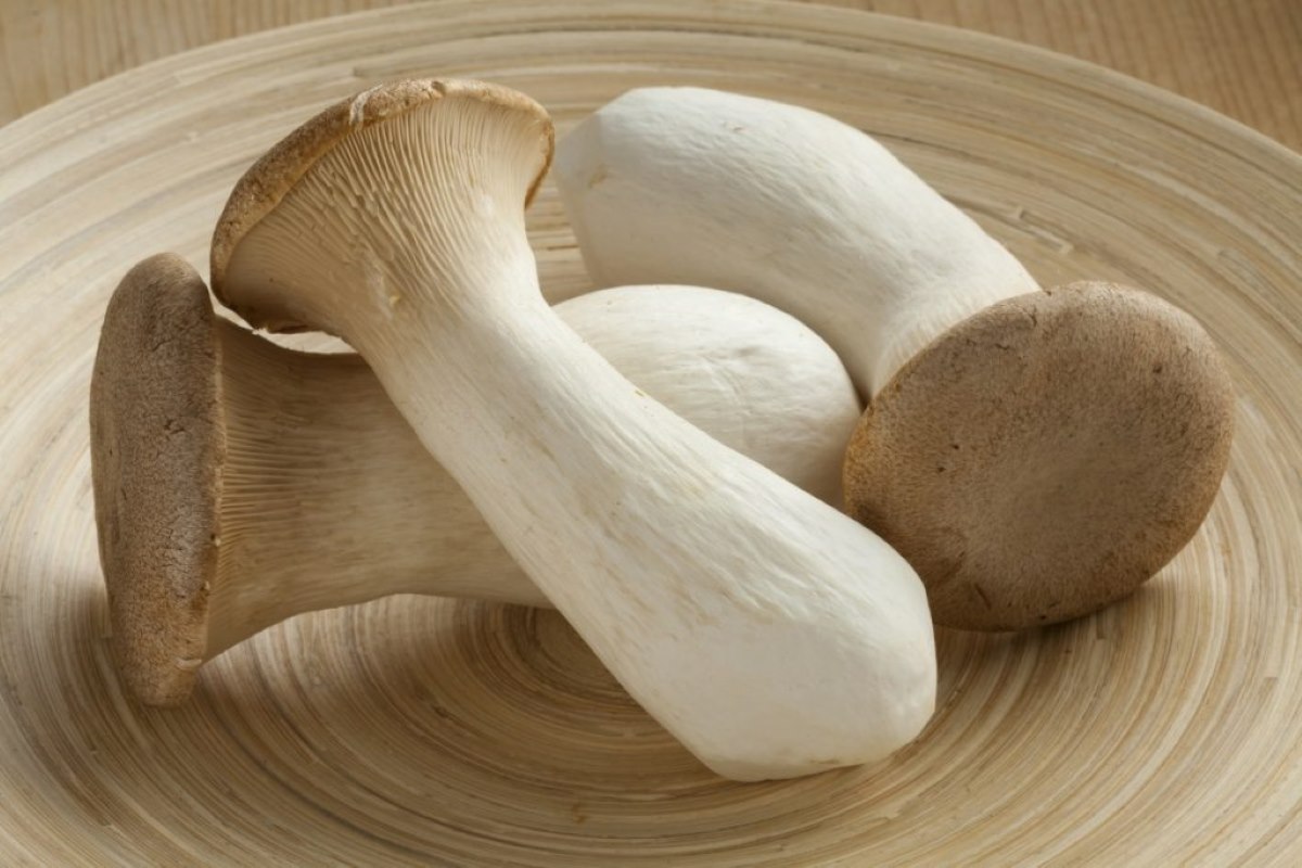 How To Store King Oyster Mushrooms
