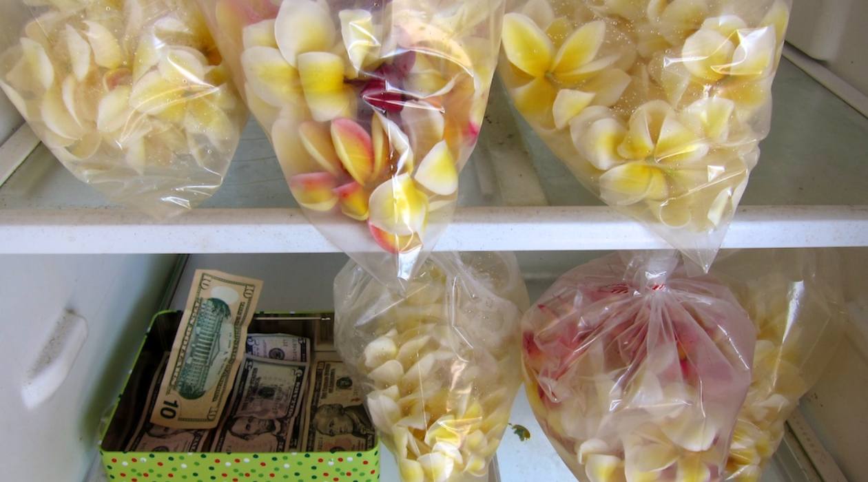 How To Store Leis In Fridge