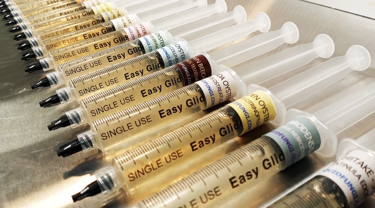 How To Store Liquid Culture Syringes