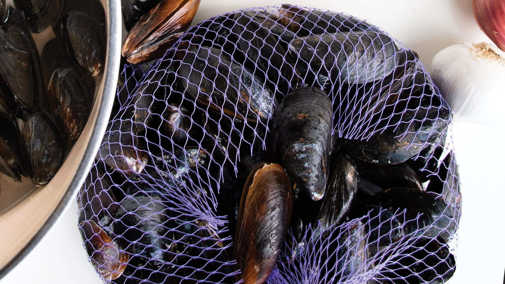 How To Store Live Mussels