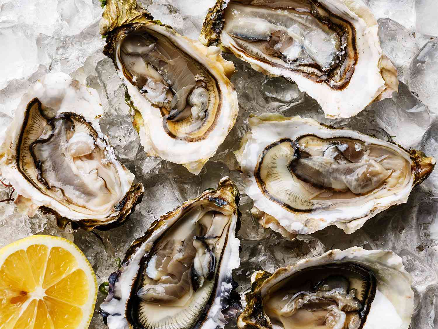 How To Store Live Oysters