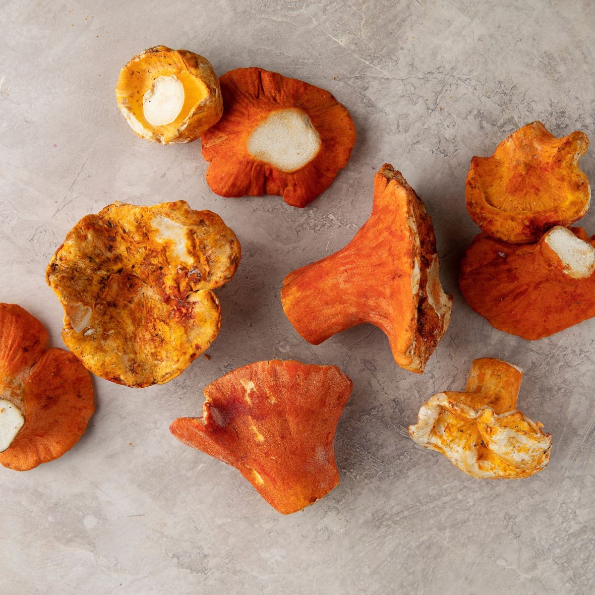 How To Store Lobster Mushrooms