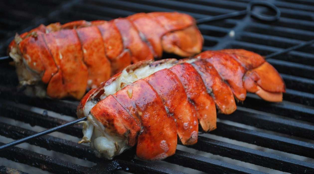 How To Store Lobster Tails