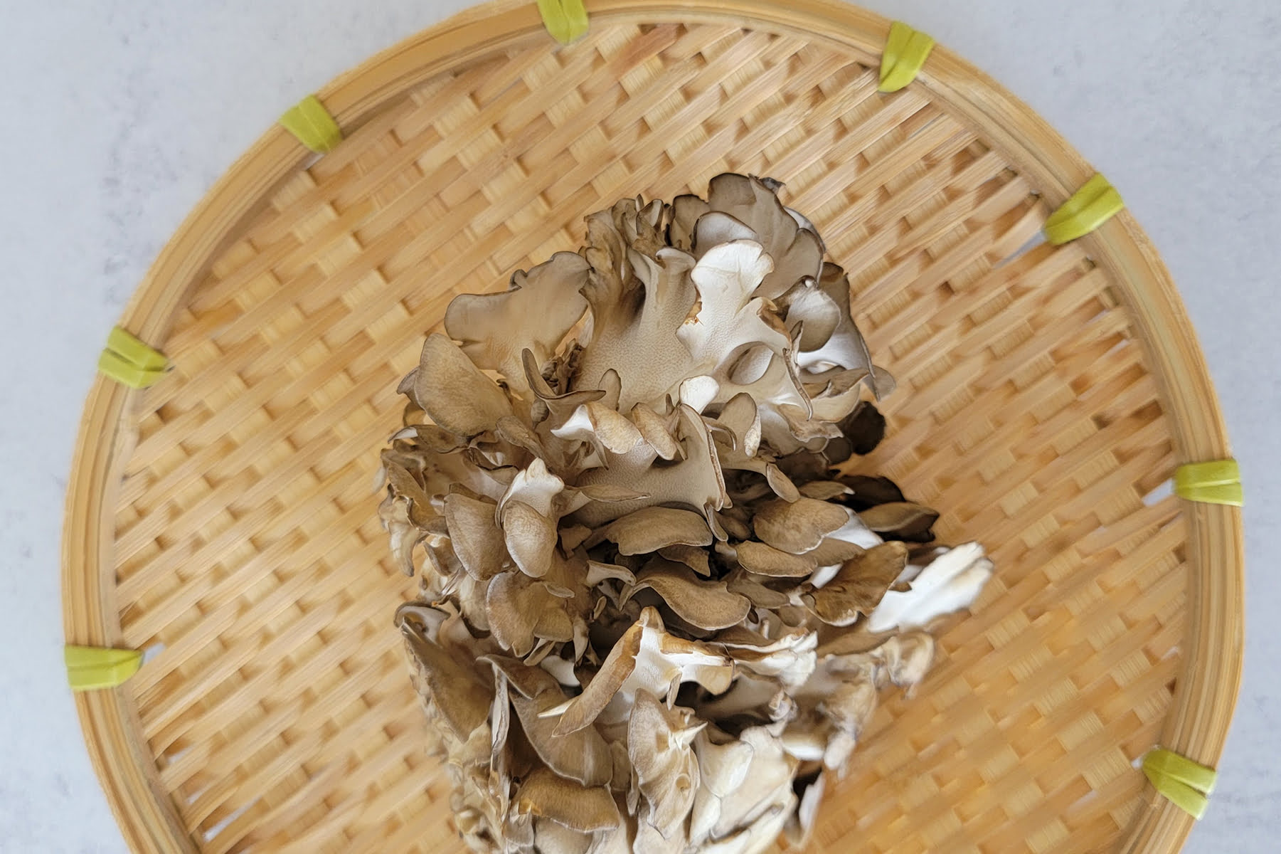 The Best Way To Clean & Store Fresh Mushrooms + How To Freeze & Dry