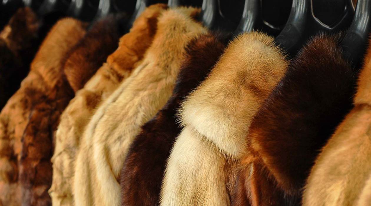 How To Store Mink Coat
