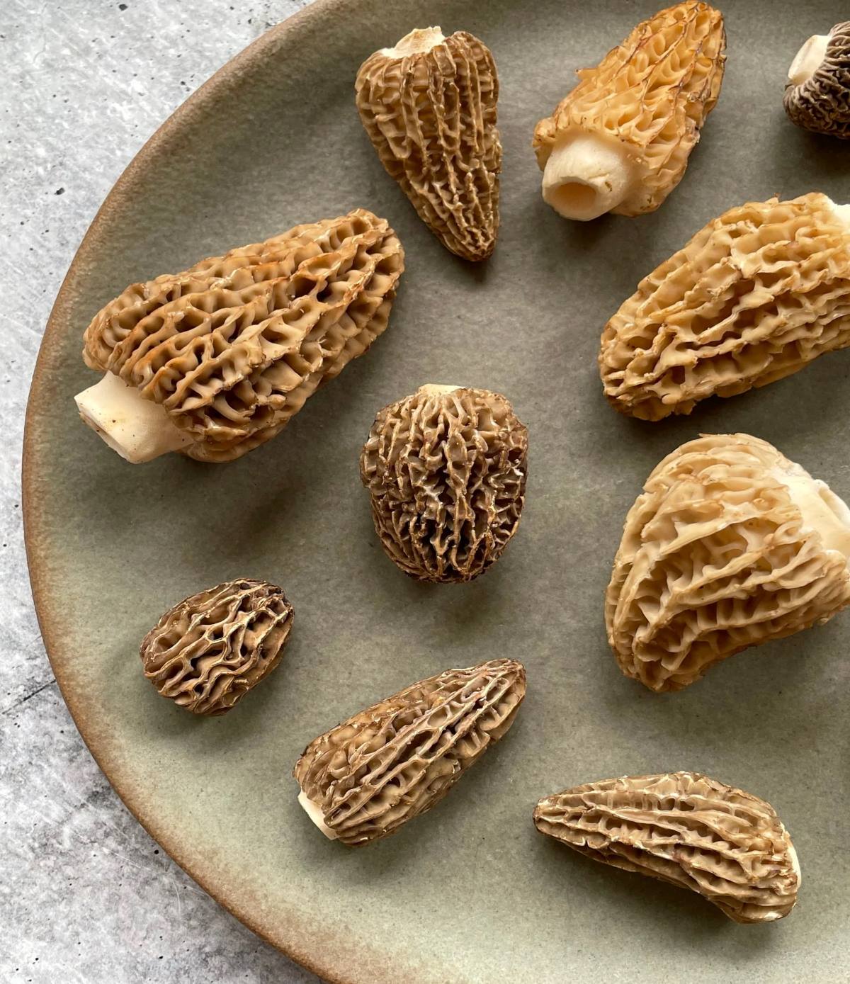 How To Store Morels In Refrigerator