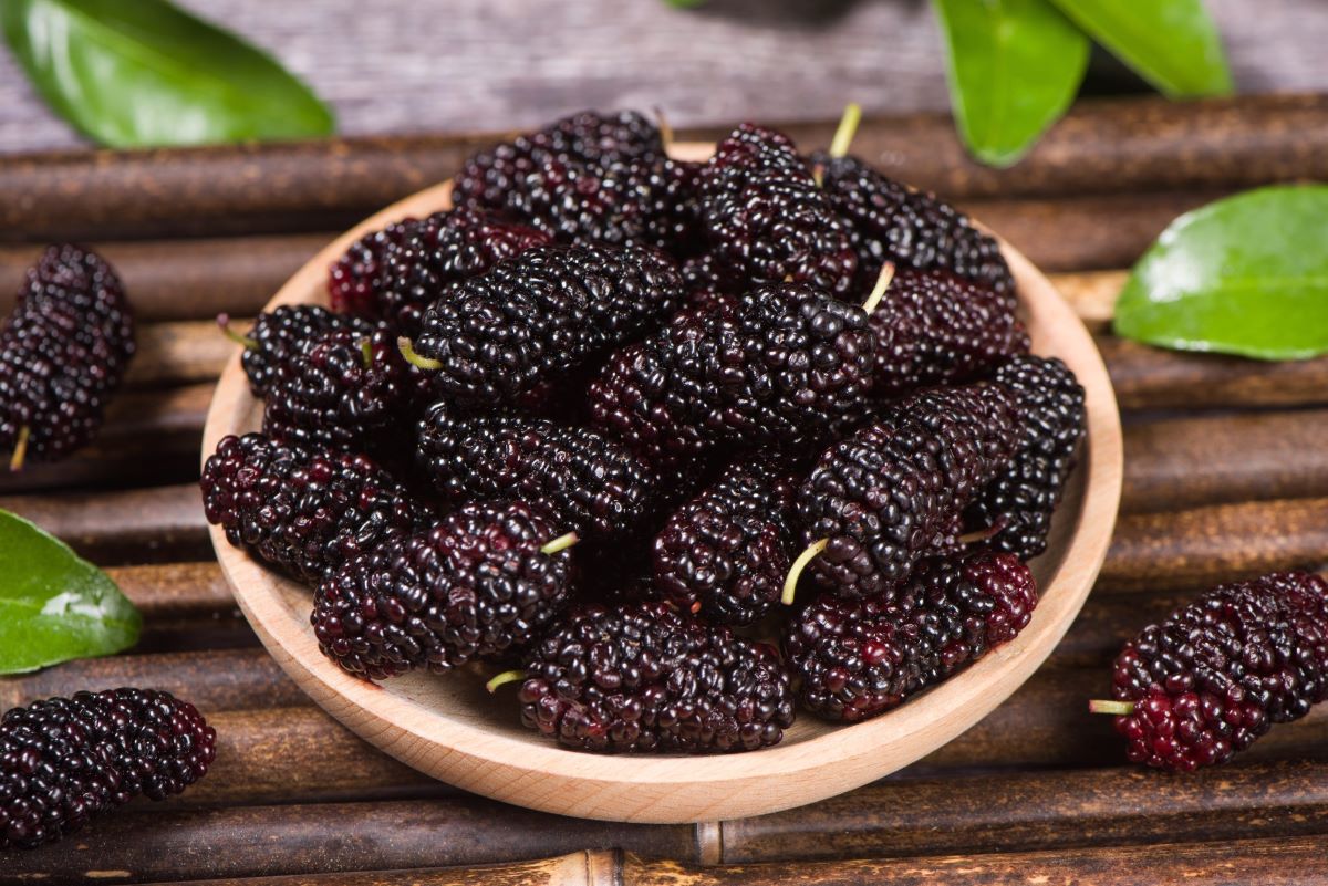 How To Store Mulberries