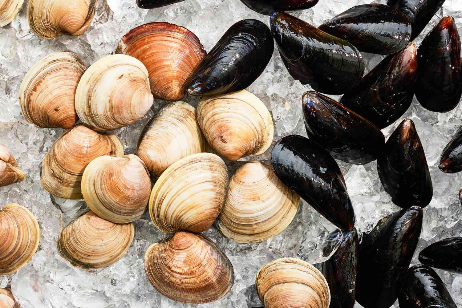 How To Store Mussels And Clams