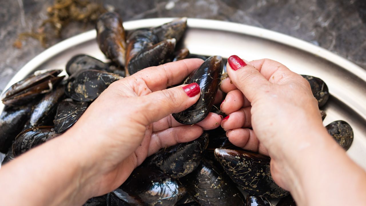 How To Store Mussels Before Cooking