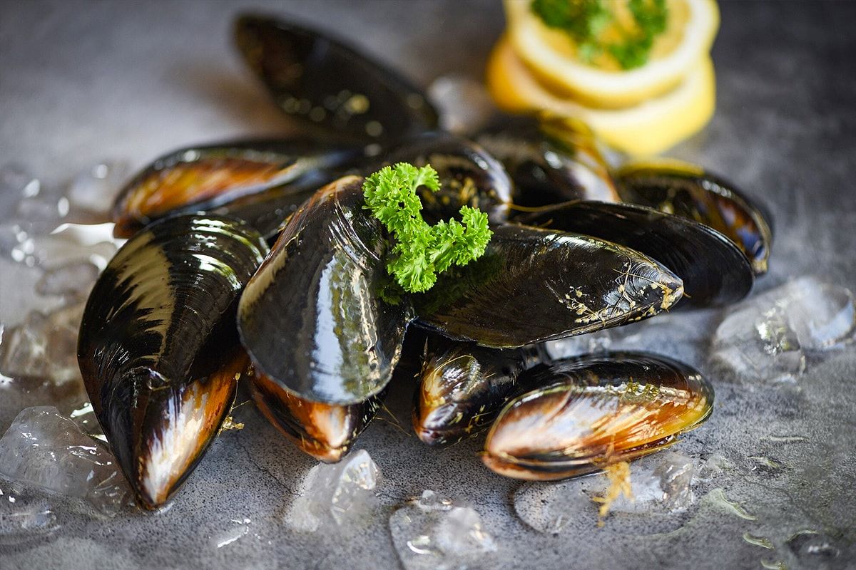 How To Store Mussels In Fridge