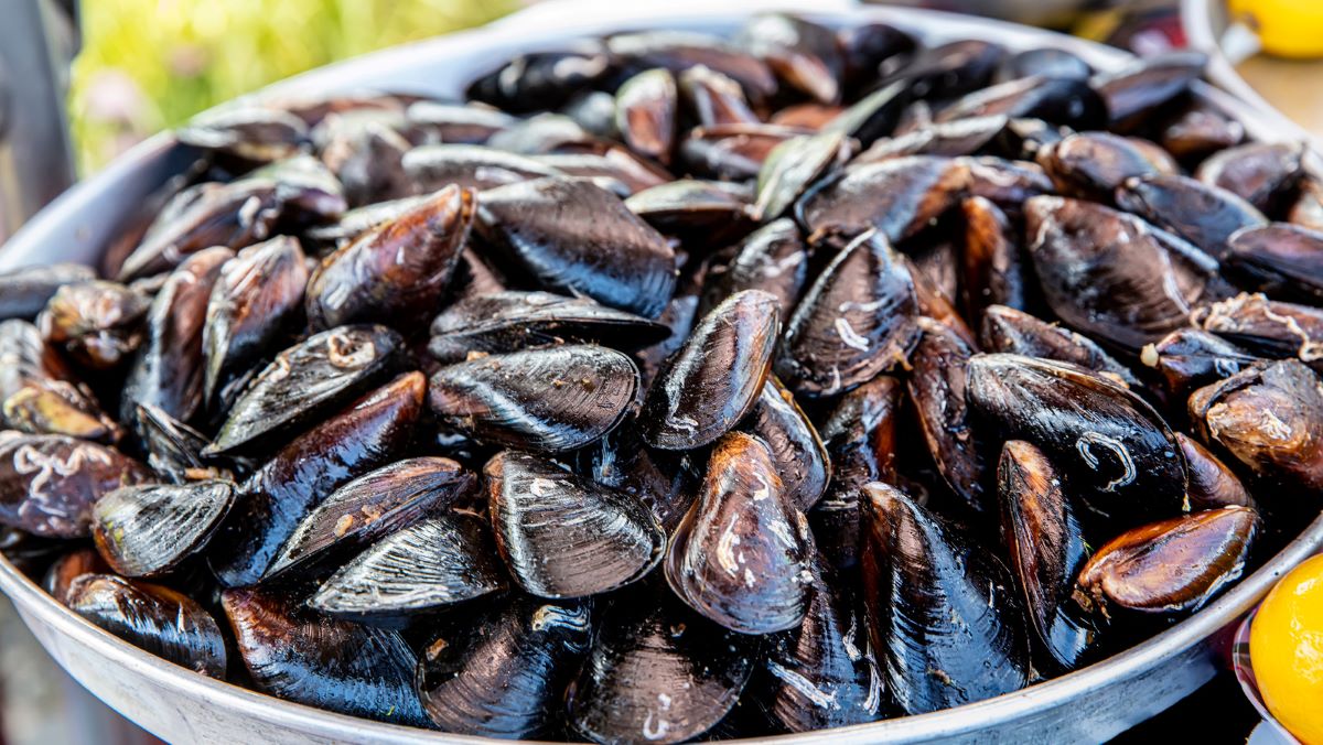 How To Store Mussels In Fridge Overnight