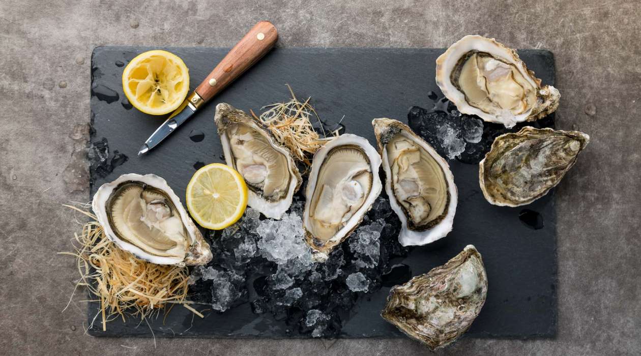 How To Store Oysters In A Cooler