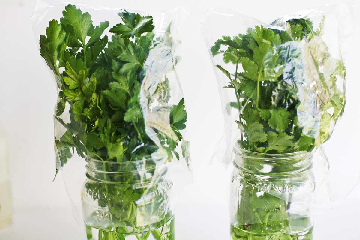 How To Store Parsley