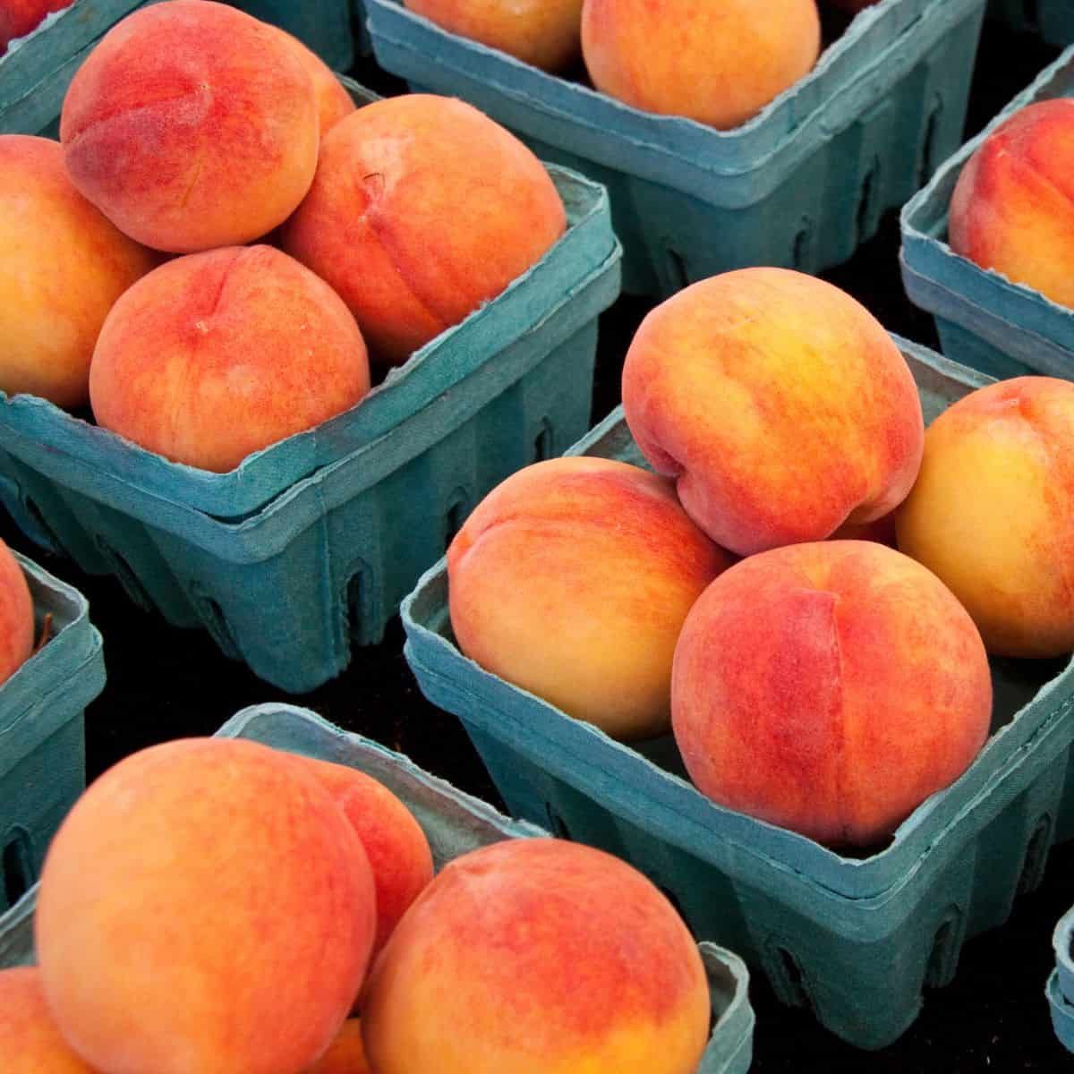 How To Store Peaches To Avoid Fruit Flies