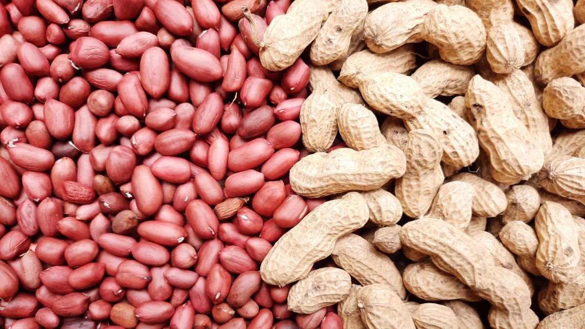 How To Store Peanuts
