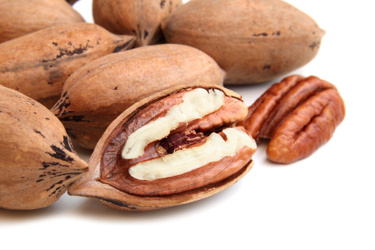 How To Store Pecans In The Shell