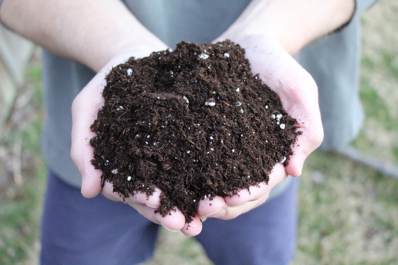 How To Store Potting Mix