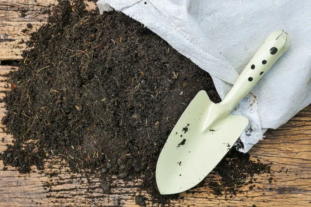 How To Store Potting Soil