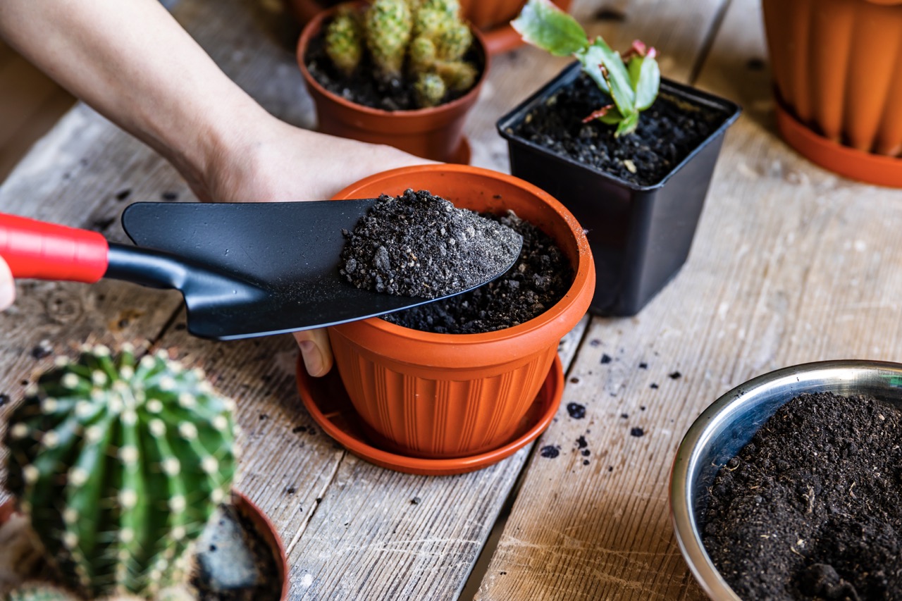 How To Store Potting Soil In An Apartment