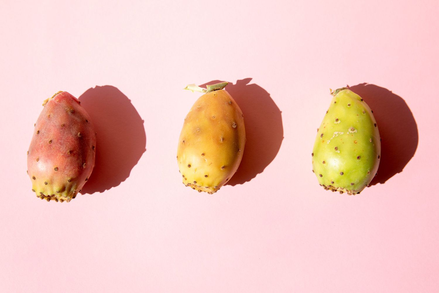 How To Store Prickly Pear