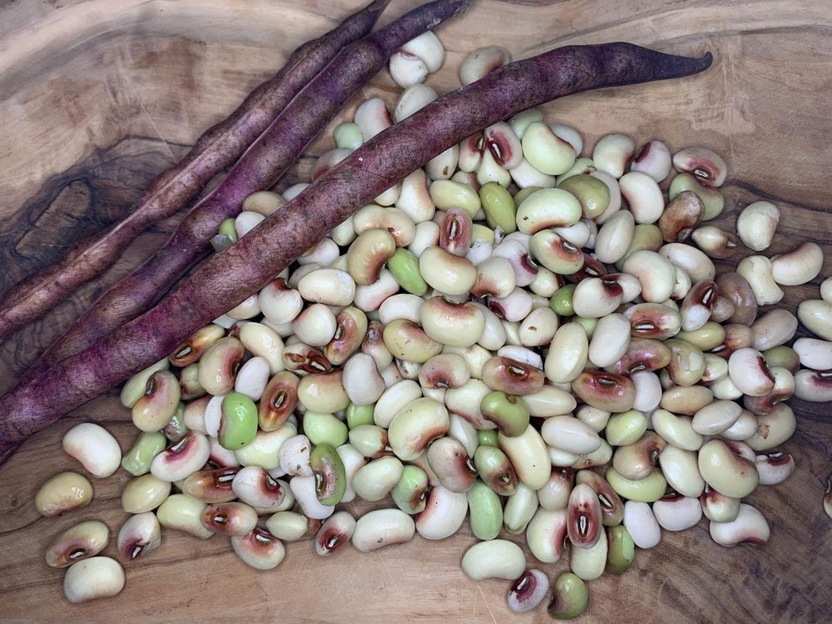 How To Store Purple Hull Peas