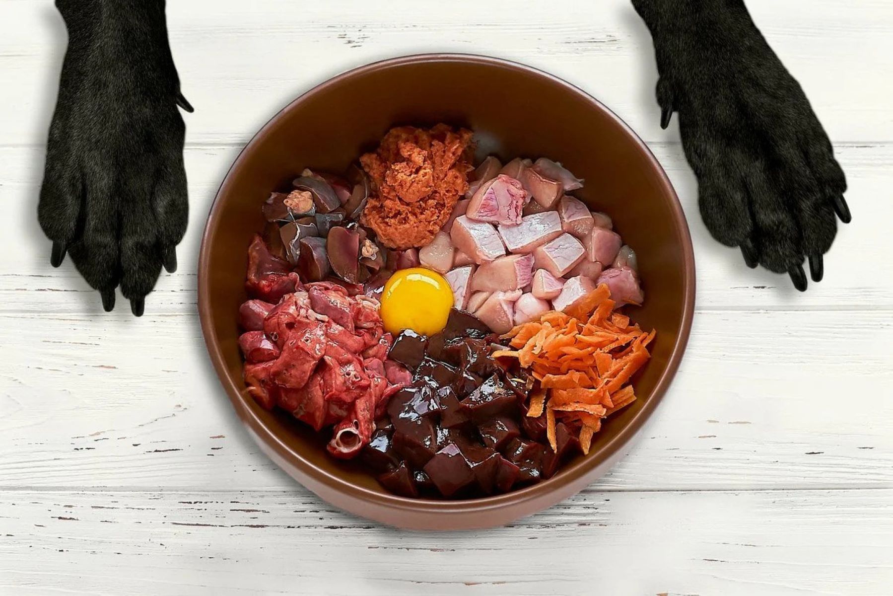 How To Store Raw Dog Food
