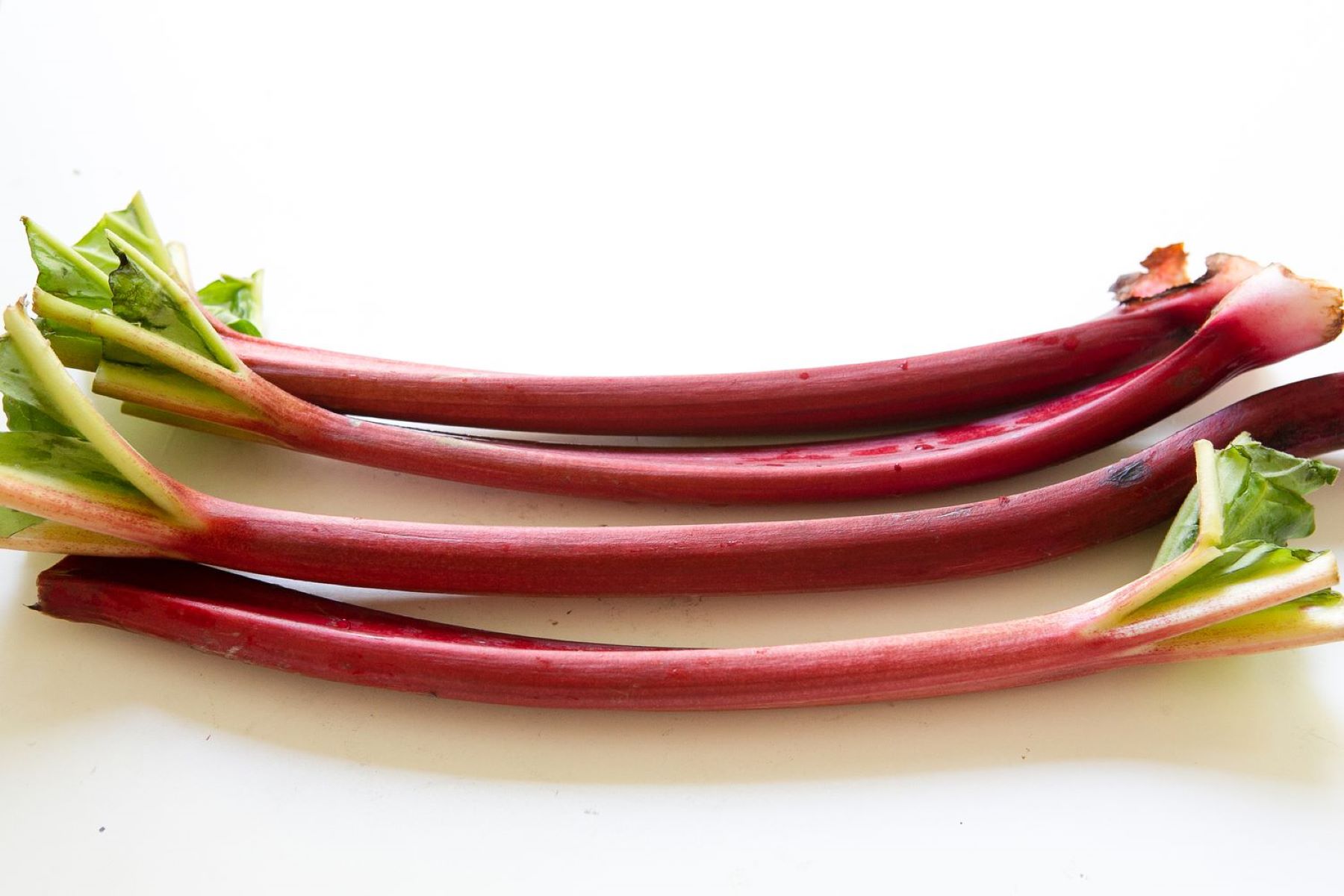 How To Store Rhubarb