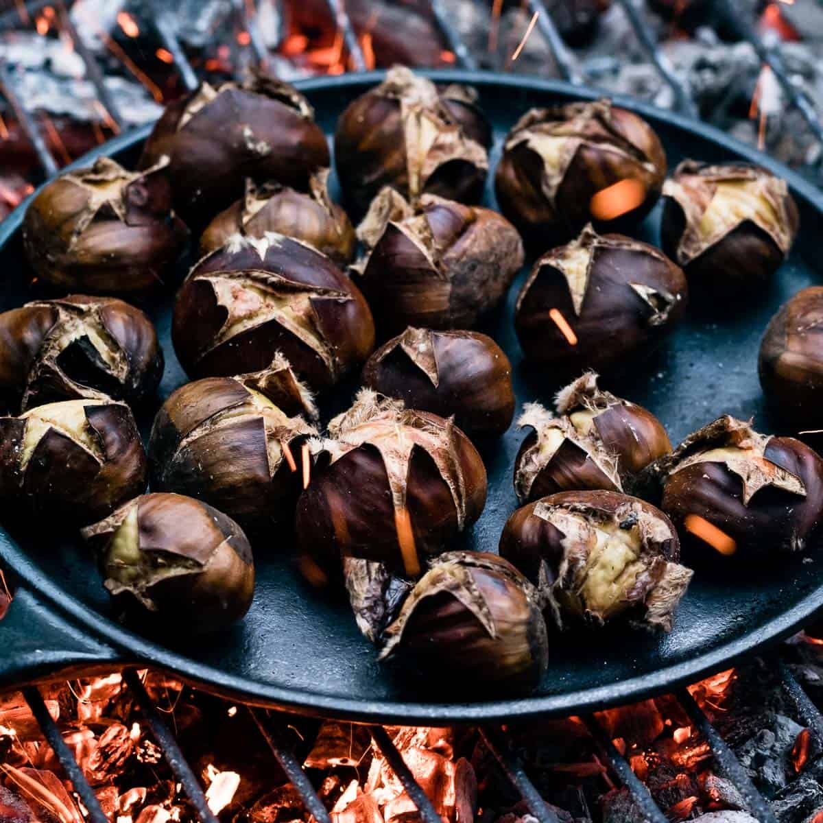 How To Store Roasted Chestnuts