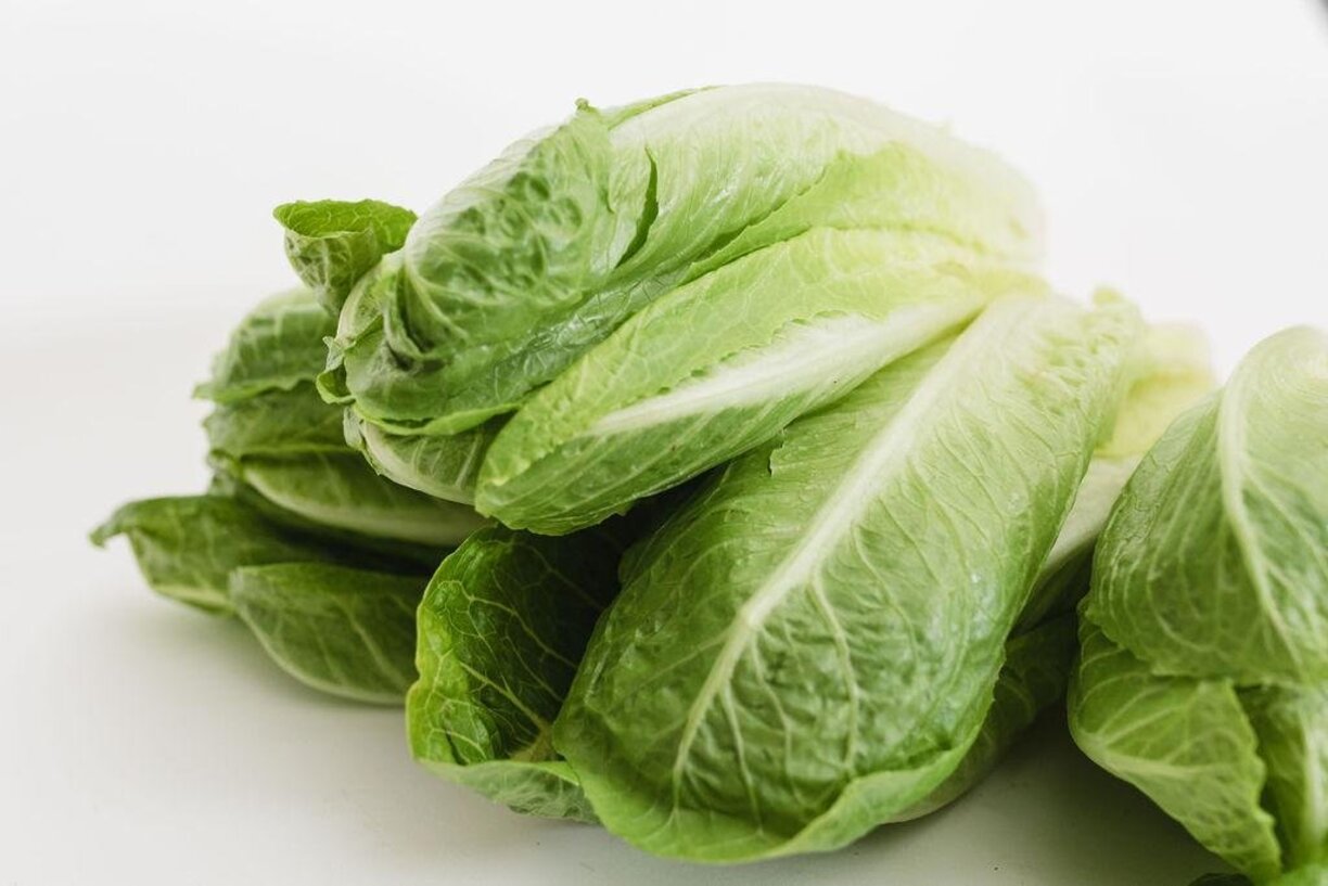 How To Store Romaine Lettuce Hearts